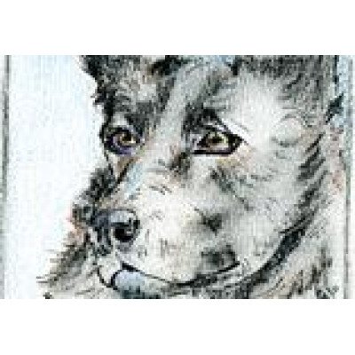 kaart 015