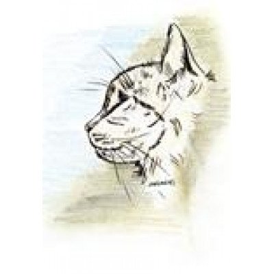 kaart 018